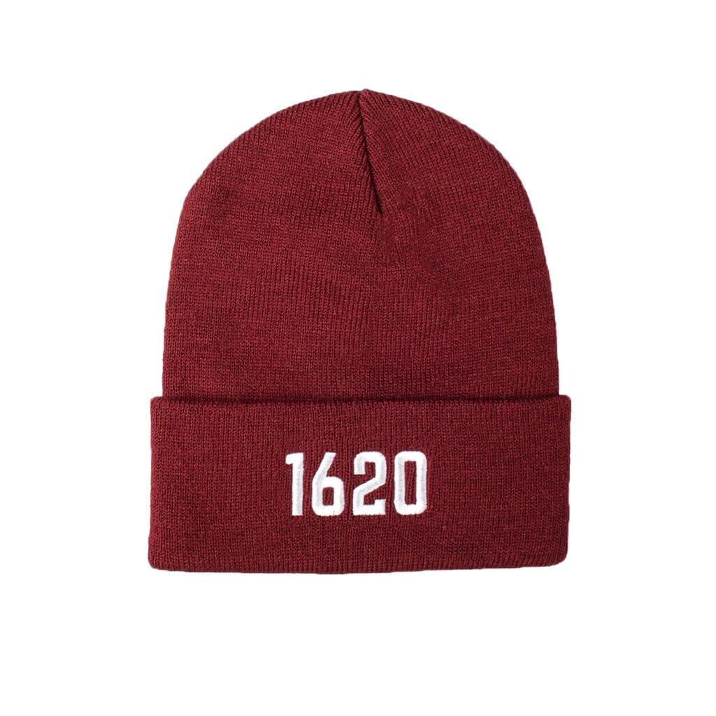 Cuffed Beanie